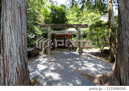 龍潭寺 奥浜名湖 静岡県 龍潭寺 奥浜名湖 静岡県 131986088