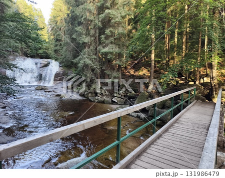 A peaceful and serene forest scene featuring a beautiful waterfall alongside a charming footbridge 131986479