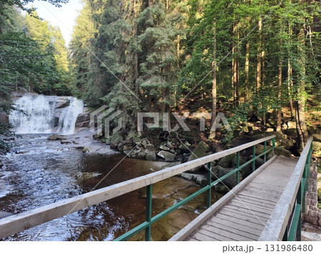 A Serene Waterfall and a Beautiful Forest Pathway Nestled in Natures Embrace and Calmness 131986480
