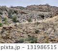 The Scenic Rocky Terrain includes a stunning landscape of grass, shrubs, and geological features 131986515