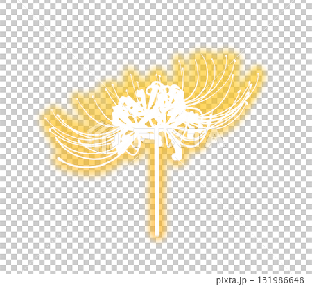 發光的紅色蜘蛛百合水彩剪影（黃色） 131986648