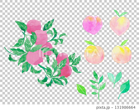 新鮮桃子和葉子的水彩插圖 131986664