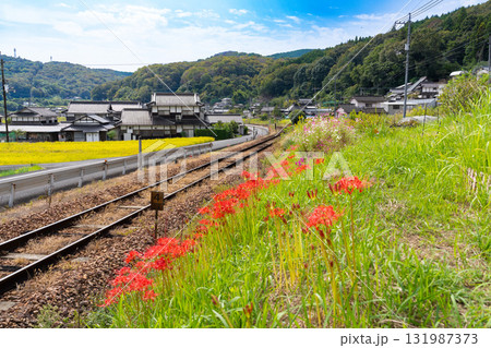 秋の花咲く津山線2 岡山県岡山市北区 秋の花咲く津山線2 岡山県岡山市北区 131987373