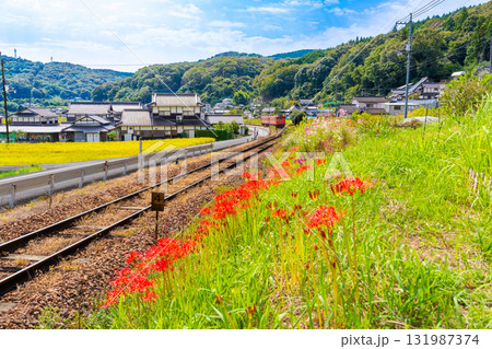 秋の花咲く津山線を走る津山駅行き普通列車5 岡山県岡山市北区 秋の花咲く津山線を走る津山駅行き普通列車5 岡山県岡山市北区 131987374