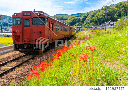 秋の花咲く津山線を走る津山駅行き普通列車4　岡山県岡山市北区 131987375