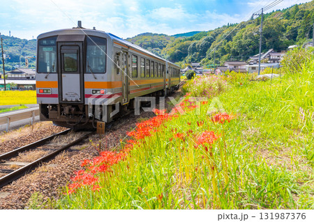秋の花咲く津山線を走るキハ120形岡山駅行き普通列車2　岡山県岡山市北区 131987376