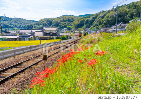 秋の花咲く津山線を走る津山駅行き観光列車・SAKU美SAKU楽1 岡山県岡山市北区 秋の花咲く津山線を走る津山駅行き観光列車・SAKU美SAKU楽1 岡山県岡山市北区 131987377