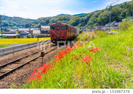 秋の花咲く津山線を走る津山駅行き観光列車・SAKU美SAKU楽2　岡山県岡山市北区 131987378