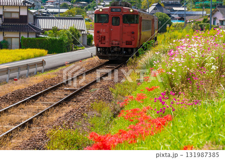 秋の花咲く津山線を走る津山駅行き普通列車1　岡山県岡山市北区 131987385