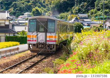 秋の花咲く津山線を走るキハ120形岡山駅行き普通列車1　岡山県岡山市北区 131987386