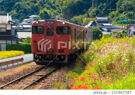 秋の花咲く津山線を走る津山駅行き観光列車・SAKU美SAKU楽4 岡山県岡山市北区 秋の花咲く津山線を走る津山駅行き観光列車・SAKU美SAKU楽4 岡山県岡山市北区 131987387
