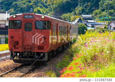 秋の花咲く津山線を走る津山駅行き観光列車・SAKU美SAKU楽5　岡山県岡山市北区 131987388