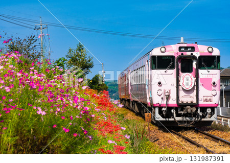 秋の花咲く津山線を走る岡山駅行き観光列車・SAKU美SAKU楽1　岡山県岡山市北区 131987391