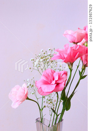 トルコ桔梗とかすみ草 131987629