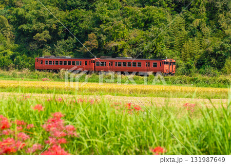 秋の田園風景の中を走る津山線岡山駅行き普通列車1 岡山県久米郡久米南町 秋の田園風景の中を走る津山線岡山駅行き普通列車1 岡山県久米郡久米南町 131987649