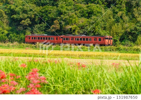 秋の田園風景の中を走る津山線岡山駅行き普通列車2　岡山県久米郡久米南町 131987650