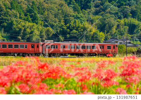 秋の田園風景の中を走る津山線岡山駅行き普通列車3 岡山県久米郡久米南町 秋の田園風景の中を走る津山線岡山駅行き普通列車3 岡山県久米郡久米南町 131987651