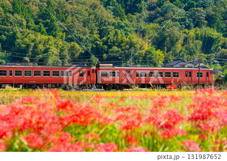 秋の田園風景の中を走る津山線岡山駅行き普通列車4　岡山県久米郡久米南町 131987652