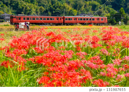 秋の田園風景の中を走る津山線津山駅行き普通列車と稲刈り風景2　岡山県久米郡久米南町 131987655