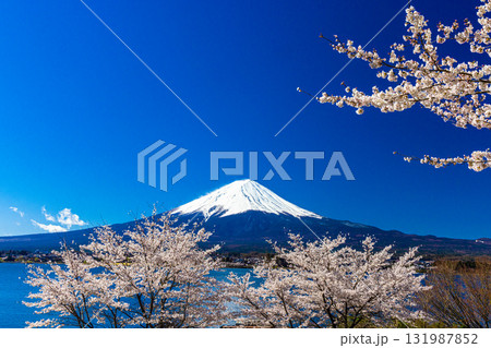 【山梨県_富士山_河口湖】湖畔と富士山が織り成す日本の風景 4月 131987852