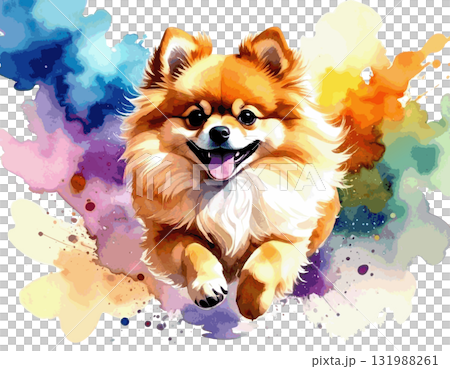 走るポメラニアンの水彩画 131988261
