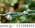 結ばれたカラフルなロープ 131988848