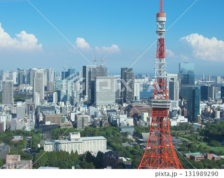 麻布台ヒルズより望む東京タワー・芝公園・浜松町方面の眺望　 都市景観（2025年9月） 131989290