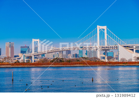 【東京都】お台場・レインボーブリッジを望む 131989412