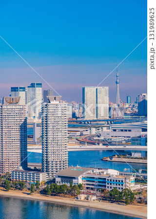 【東京都】お台場から眺める東京ウォーターフロント、東京スカイツリー 【東京都】お台場から眺める東京ウォーターフロント、東京スカイツリー 131989625