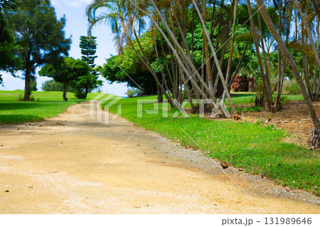 爽やかな南国の青空・公園のような鮮やかな芝が映えるリゾートのゴルフ場とヤシの木（沖縄県宮古島市） 131989646