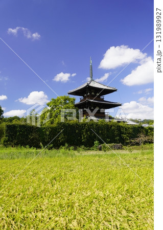 青空と黄金色に輝く稲穂 青空と黄金色に輝く稲穂 131989927