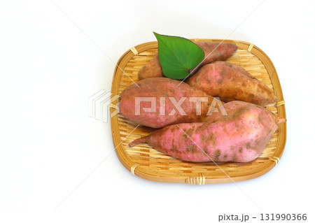 採れたてのサツマイモ(安納芋) 採れたてのサツマイモ(安納芋) 131990366