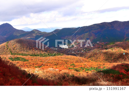 箱根ロープウェイからみた紅葉真っ盛りの箱根 箱根ロープウェイからみた紅葉真っ盛りの箱根 131991167