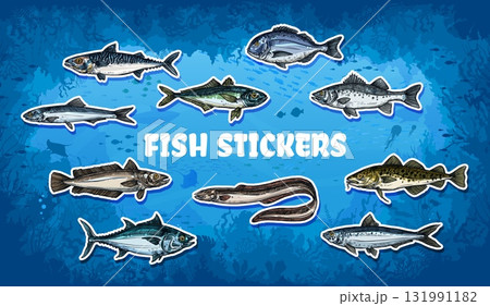 Sea fish stickers pack in ocean or sea underwater landscape, vector set. Tuna, salmon or herring with bream or eel and mackerel or catfish with cod and sardine for sea or ocean fish stickers 131991182