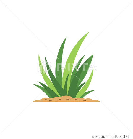 Green grass blades growing on soil vector illustration with natural colors and simple design Green grass blades growing on soil vector illustration with natural colors and simple design 131991371