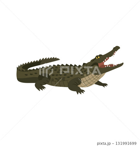 Crocodile with open mouth resting on white background vector illustration 131991699