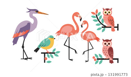 Group of colorful birds including heron flamingos owls and small bird on branches vector illustration 131991773