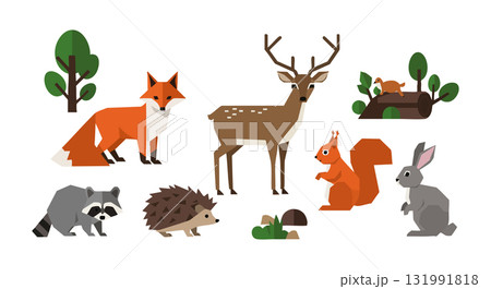Forest Animals Including Fox Deer Squirrel Hedgehog Raccoon Rabbit Vector Illustration 131991818