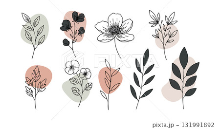 Minimalist floral leaves and branches vector set with pastel color shapes and delicate line art 131991892