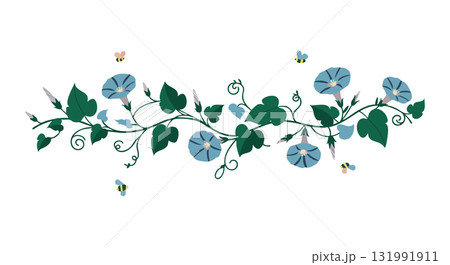 Morning glory vine with butterflies in green and blue vector illustration floral design 131991911