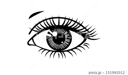 Human eye close-up vector illustration detailed eyelashes and iris design 131992012