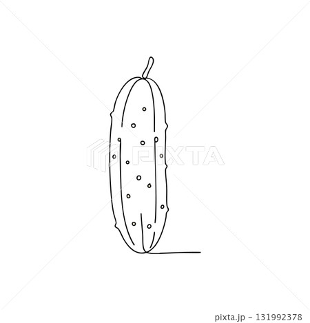 Cucumber vegetable outline line art healthy fresh natural food illustration vector Cucumber vegetable outline line art healthy fresh natural food illustration vector 131992378