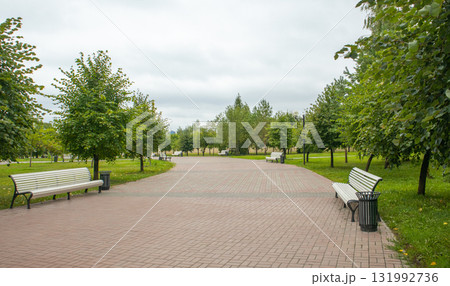 Empty alley in urban park with white benches Empty alley in urban park with white benches 131992736