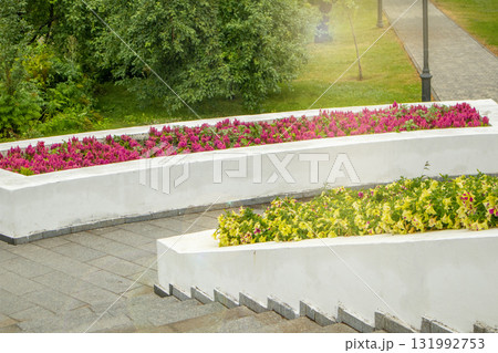 Terraced white planters with pink and yellow flowers in a city park in summer Terraced white planters with pink and yellow flowers in a city park in summer 131992753