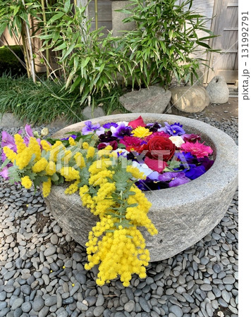 3月のカラフルな花手水(カーネーション・ミモザ・薔薇・ガーベラ・パンジー)〈菅生神社/愛知県岡崎市〉 3月のカラフルな花手水(カーネーション・ミモザ・薔薇・ガーベラ・パンジー)〈菅生神社/愛知県岡崎市〉 131992791