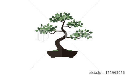 Bonsai tree vector illustration with green leaves in black pot natural art design 131993056