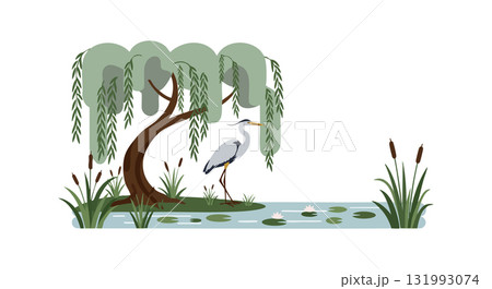 Heron standing by willow tree near pond with reeds and lily pads vector illustration 131993074