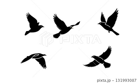 Flying bird silhouettes in various poses black vector illustration Flying bird silhouettes in various poses black vector illustration 131993087