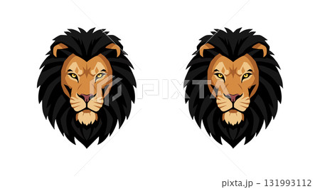Lion head vector illustration with detailed mane and fierce expression 131993112