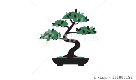 Bonsai tree with green leaves and black pot vector illustration natural plant art Bonsai tree with green leaves and black pot vector illustration natural plant art 131993158